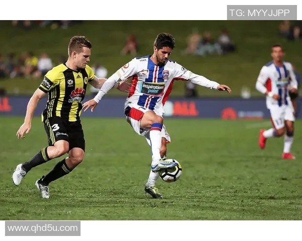 珀斯光荣与惠灵顿凤凰2019赛季精彩对决回顾与分析